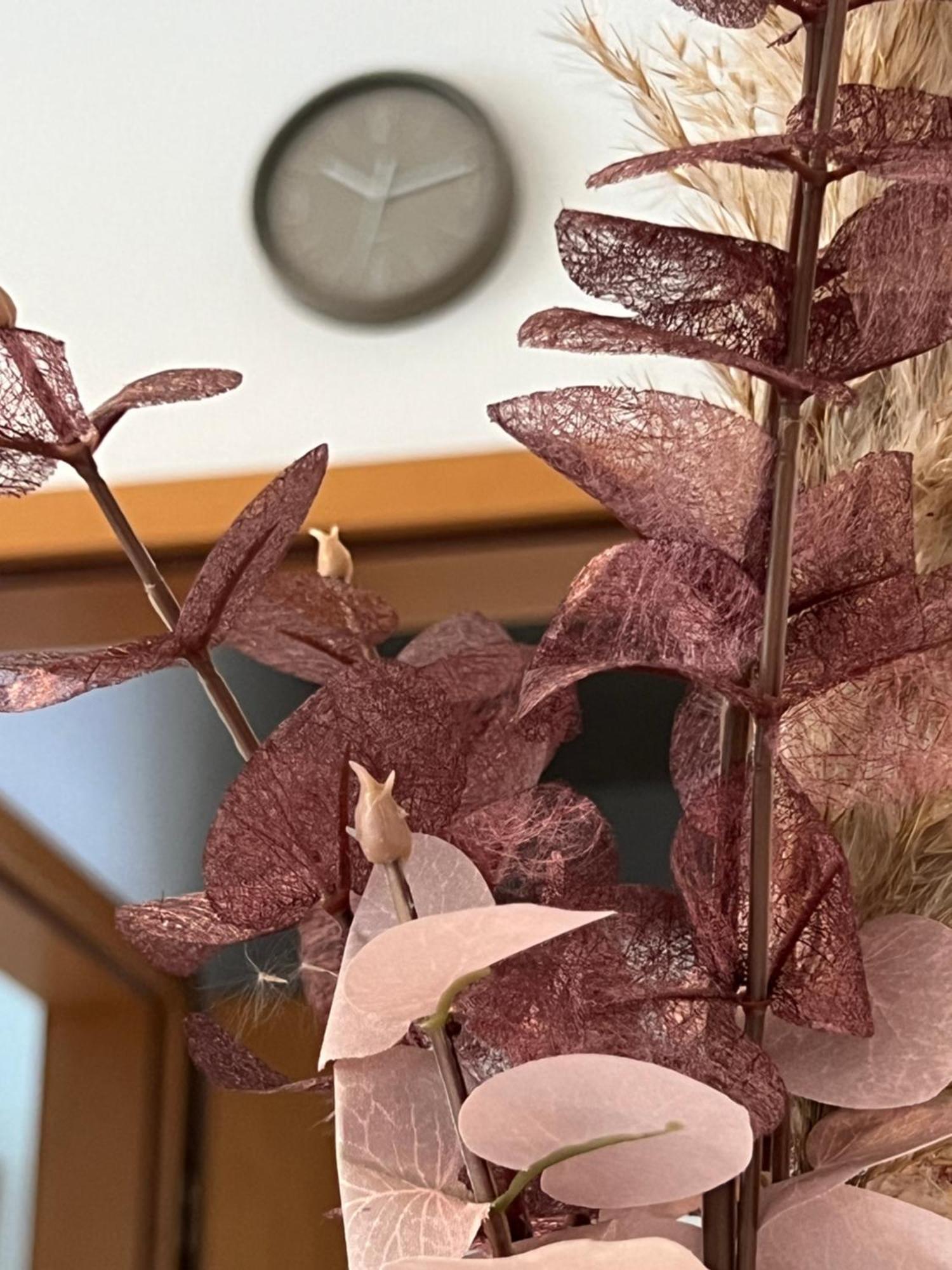 Auszeit Im Pott - Ferienwohnung Lavendel Herten  Extérieur photo